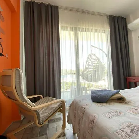 Hostal El Camino Hostel&pub *