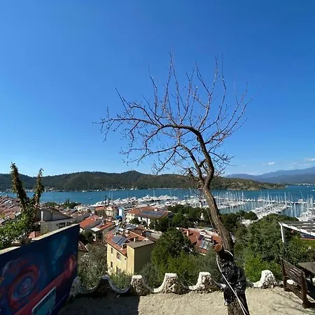 إل كامينو هوستيل آند بوب بيت شباب *