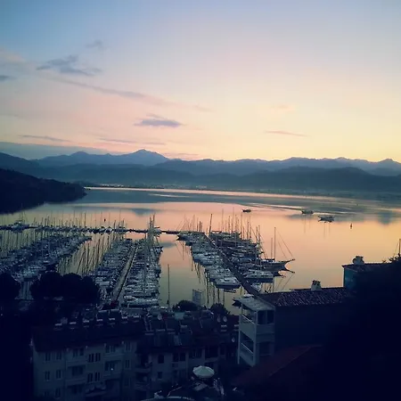 إل كامينو هوستيل آند بوب *