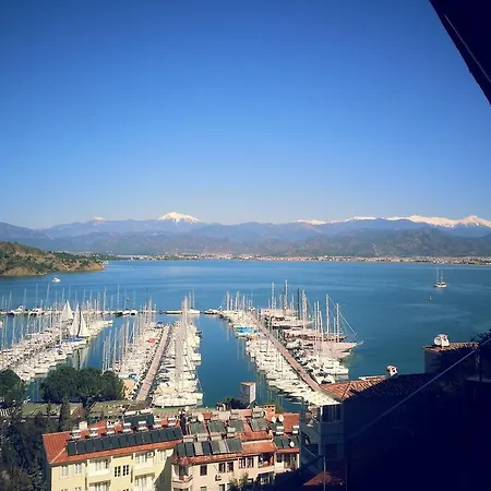 إل كامينو هوستيل آند بوب بيت شباب