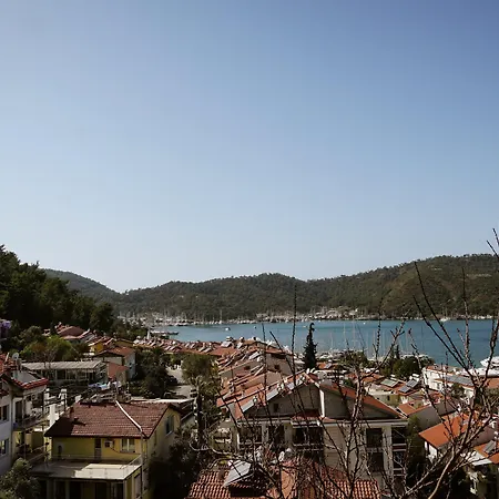 Auberge de jeunesse El Camino & Pub