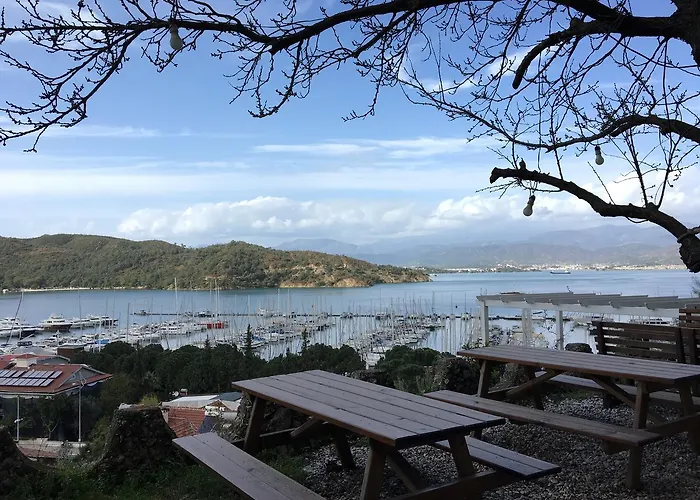 El Camino & Pub ホステル フェティエ